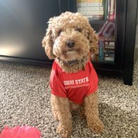 Eddie Mercado (@e_mercado) 's Twitter Profile