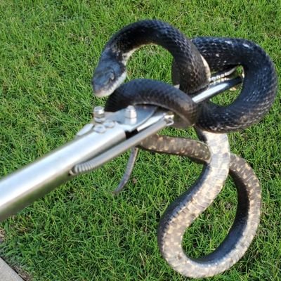 wyatt_sullivan's profile picture. I'm here to say the things others can't...because it's ridiculous.