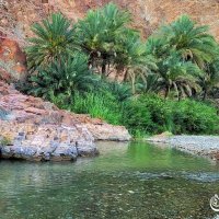 أمينة الراسبية (@aminaalrasbi) 's Twitter Profile Photo أمينة الراسبية (@aminaalrasbi) 's Twitter Profile Photo