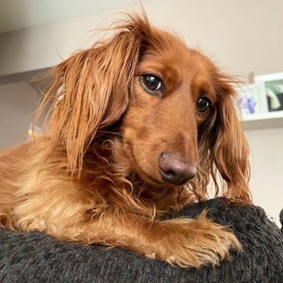 michellereynaud's profile picture. feminist, gamer, all-around awkward human being.