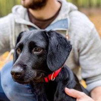 Gerardo Cerrone (@gerardo_cerrone) 's Twitter Profile Photo