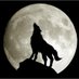 MoonFox101 (@fox101moon) Twitter profile photo MoonFox101 (@fox101moon) Twitter profile photo