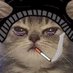 CakeStealer (@cake_stealer) Twitter profile photo CakeStealer (@cake_stealer) Twitter profile photo