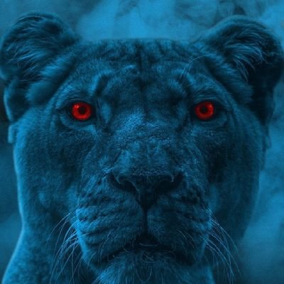 Cyber security Analyst, Certified E. Hacker! UX/UI, software DEV. Oh pro Swimmer || NBA || chess || writer cum poet cum Spokenword Artiste.