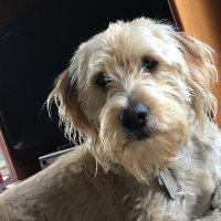 Emma Ziva (@zivaemma) 's Twitter Profile