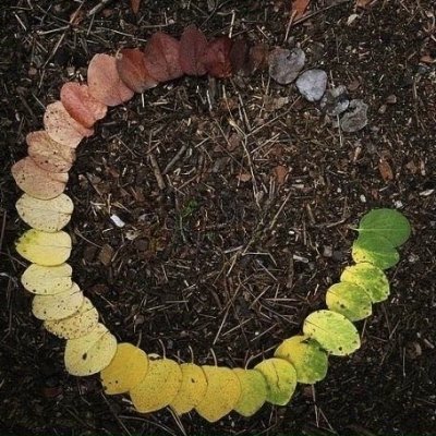 4G_Traders's profile picture. Mindset - Risk Management - Trading System. Together, let's develop every day in the field of Trading