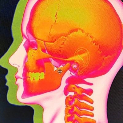 jorgebritol's profile picture. Founder and Creative Director @antiquesproject