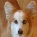 Carol Reimers (@carolr175) Twitter profile photo Carol Reimers (@carolr175) Twitter profile photo