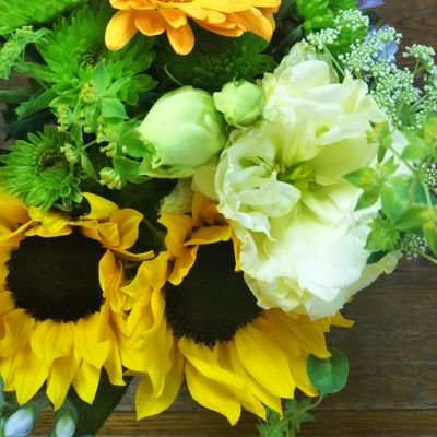 M4JjlG6MQDwSxtf's profile picture. オセロニアをマイペースでやってるエンジョイ勢🌻／電車でのんびり旅も好き🚃𓈒𓂂𓏸／おいしいもの作って食べるのも好き💕💕／無言フォロー失礼します(⁎ᴗ͈ˬᴗ͈⁎)
 仙台宴と東京宴すごく楽しかった*⸜(* ॑꒳ ॑* )⸝*✨
1月初名古屋宴行きます( * ॑꒳ ॑*)