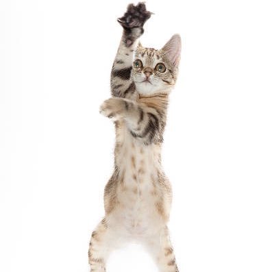 8tSmrQwJTL9n5lF's profile picture. 