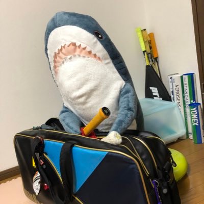 いつか... 人並みにバドミントンが出来るようになりたい! って思っているうちは進めていると思う。 座右の銘:楽しいだけじゃ楽しくない