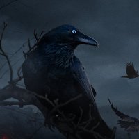 sandeep.k (@sandeepbhaskark) 's Twitter Profile