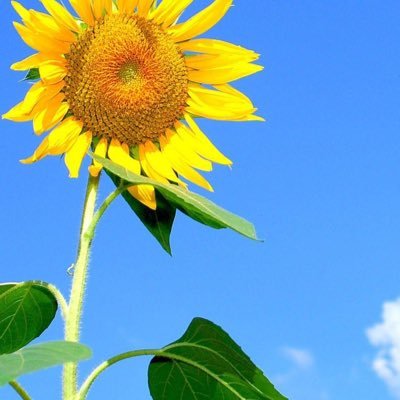 ooiitnkk's profile picture. 