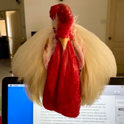 Artist.., I use my mind. But don’t listen to it. https://t.co/e1u2THKoHQ I have a pet rooster Mookoo, who is my muse❤️