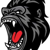 HASLET TWILIGHT SILVERBACKS (@haslettwilight) 's Twitter Profile