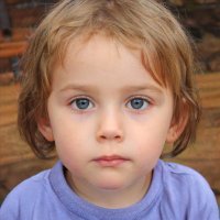 Cynthia Ness (@cynthianess17) 's Twitter Profile