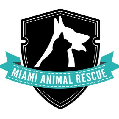 Miami Animal Rescue is a 501c non-profit charity group dedicated to saving abused, abandoned and stray animals.