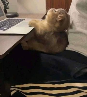 whenwegrownup's profile picture. ไม่ต้องสอนคนอื่นทุกเรื่องก็ได้