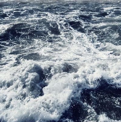 shandonedwards's profile picture. 