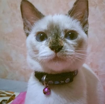 itsmeshaira30's profile picture. EME