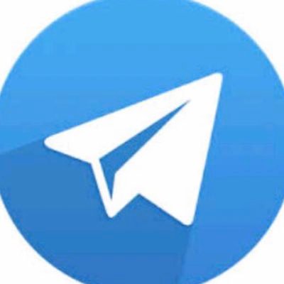 PiccoloSupport's profile picture. Official Support