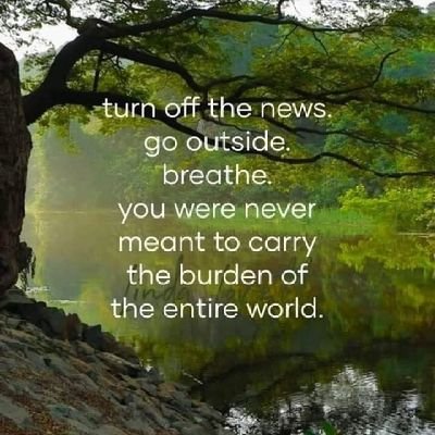 Seedplanter101's profile picture. 