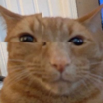 walwussy's profile picture. i eat children