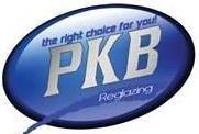 Marketing Manager for PKB Reglazing.