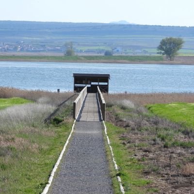 LagunaGallocant's profile picture. La Laguna de Gallocanta es un Espacio Natural Protegido de la Red Natural de Aragón. Su Centro de Información se encuentra entre Tornos y Bello @CILagunaGalloca