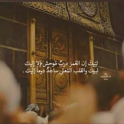 دكتوارة في الشريعة الإسلامية - فقه مقارن - الجامعة الإسلامية - مدينة الحبيب عليه الصلاة والسلام