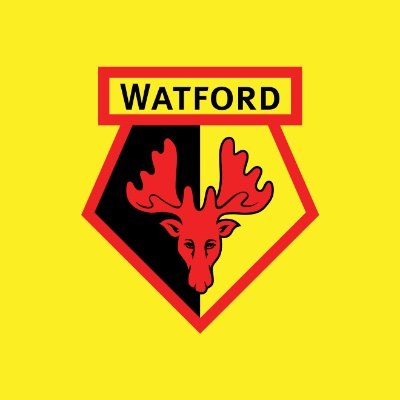 The business analysis of #WatfordFC, mixed with a bit of football strategy