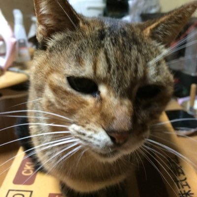 Twitterの楽しさを教えてねん。