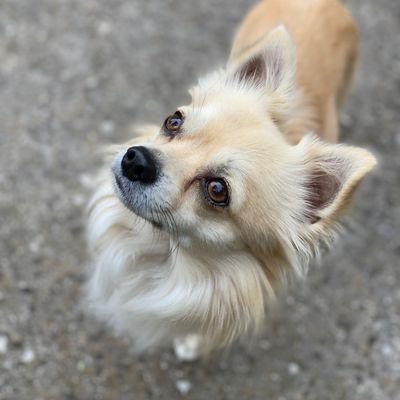 JP84607746's profile picture. Hiking junkie, dog dad, architect, engineer, founder of several companies, investor/trader, always open minded. Cologne, germany.