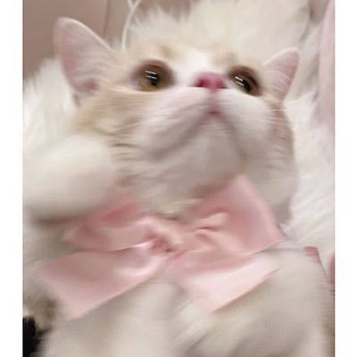 ななさんのプロフィール画像
