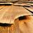 vlinzmayer's profile image