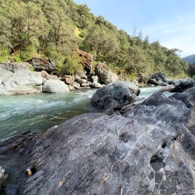 WildnScenic's profile picture. 