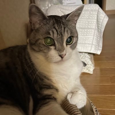 marochacara's profile picture. ライオンズ（推し不在になっちゃった）ジャイアンツ#22 #59   が好きなおばちゃん