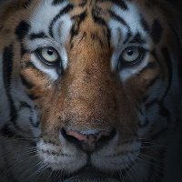 Malik (@maliksoudant) 's Twitter Profile