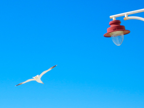 MiguelDL__'s profile picture. 