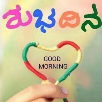 NekrtcR's profile picture. 