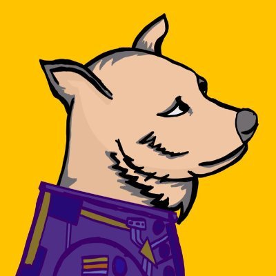 ViewDoge's profile picture. 