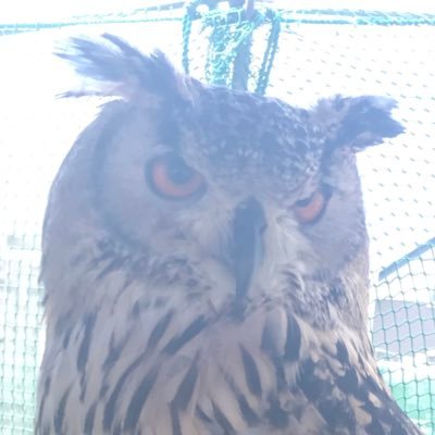 ところがどっこい生きてて草さんのプロフィール画像