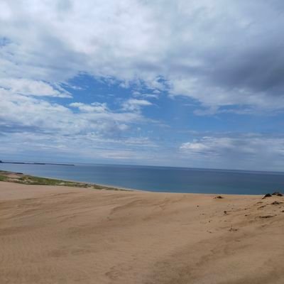 tagbloodS1's profile picture. 医療情報技師、しがないSE。写真は鳥取砂丘。