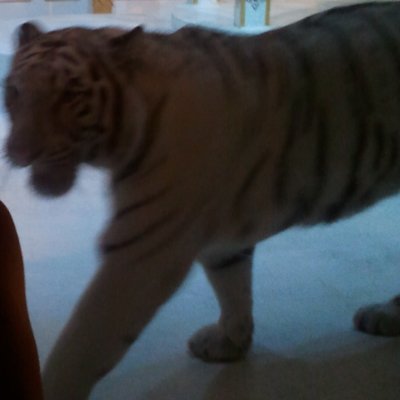 barak_dgb's profile picture. 