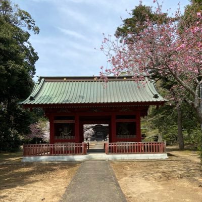 忘れ物ばかりしています。 忘れたことを更に忘れて、忘れ切ってしまう事もあります。スデニ ボケてるのかも知れません・・・ まぁいいや オヤジだし