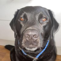 Paul Goodwin (@paulgoodwin3) 's Twitter Profile