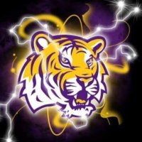 Maybe You Know(@tigersroar71) 's Twitter Profile Photo