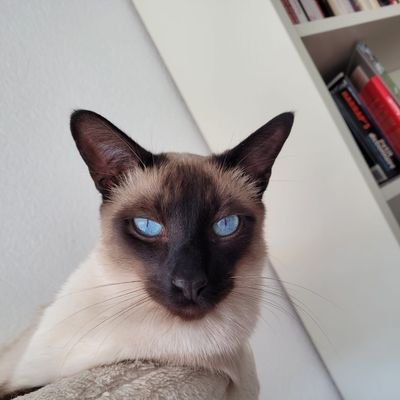 21dgidge's profile picture. Zet.a voir