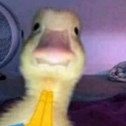 o__sama01's profile picture. 