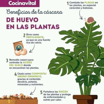 Emprendedor2018's profile picture. Prefiero creer en crear y no perder queriendo en lo creado. Creando sueños creemos en verdad vale la verdad si los sueños no son creados.